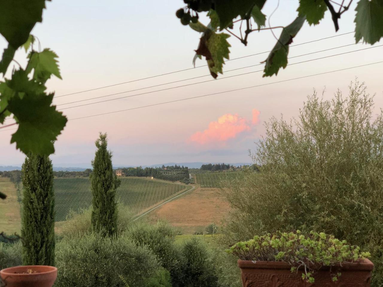 Agriturismo L'Olmo San Gimignano Exterior photo